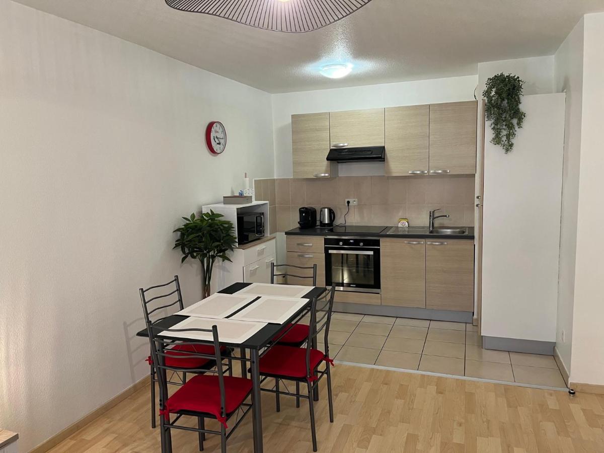 Le Gite De Marc - Parking Prive Gratuit + Terrasse Colmar Luaran gambar