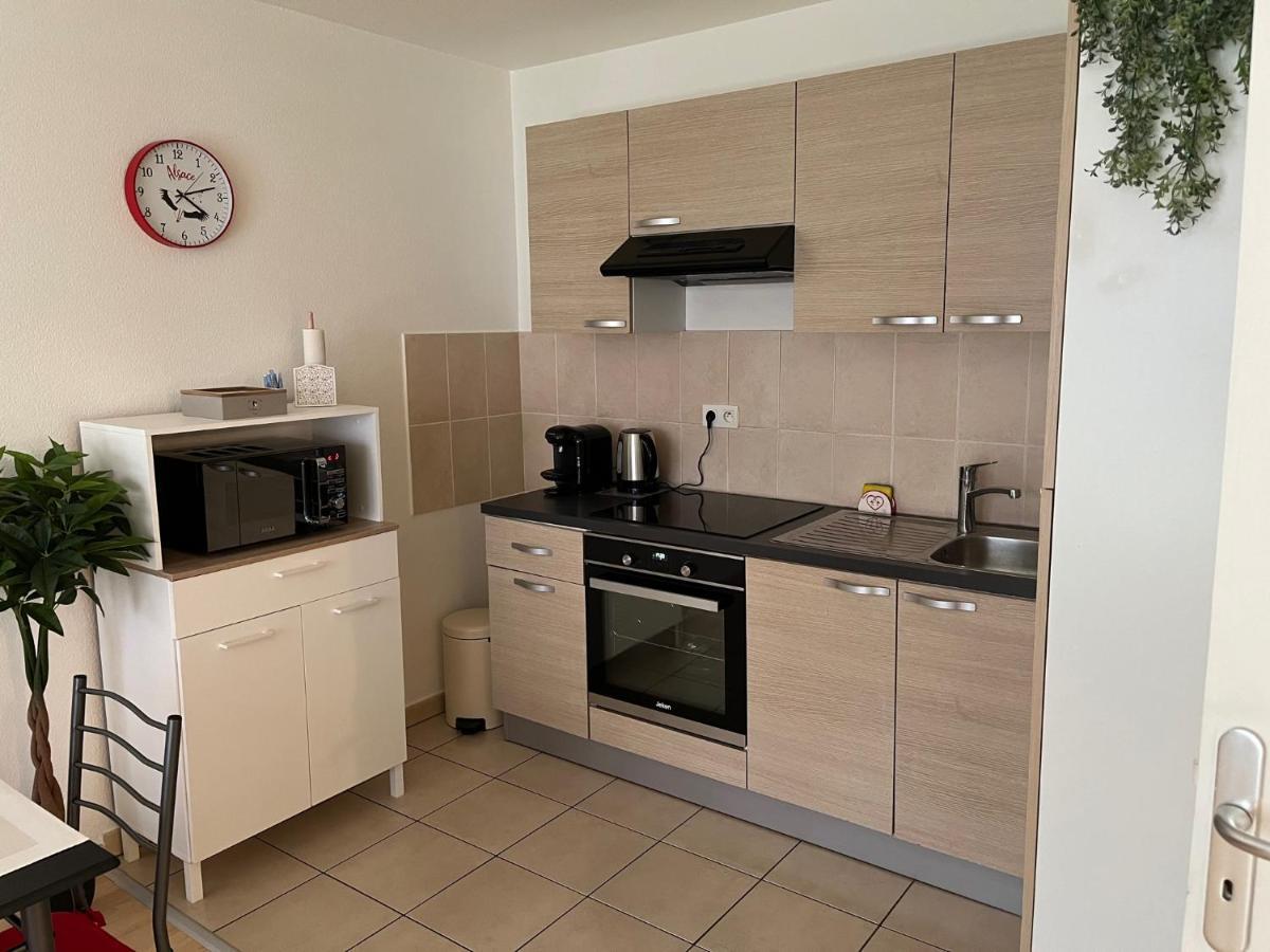 Le Gite De Marc - Parking Prive Gratuit + Terrasse Colmar Luaran gambar